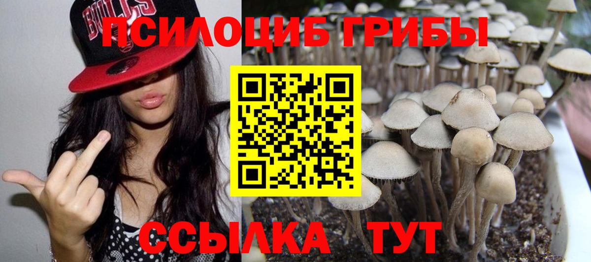 наркота  Вход с VPN  Тимашёвск  Псилоцибиновые грибы Psilocybine cubensis  Галлюциногенные грибы Psilocybine cubensis 
